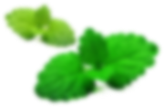 Shape